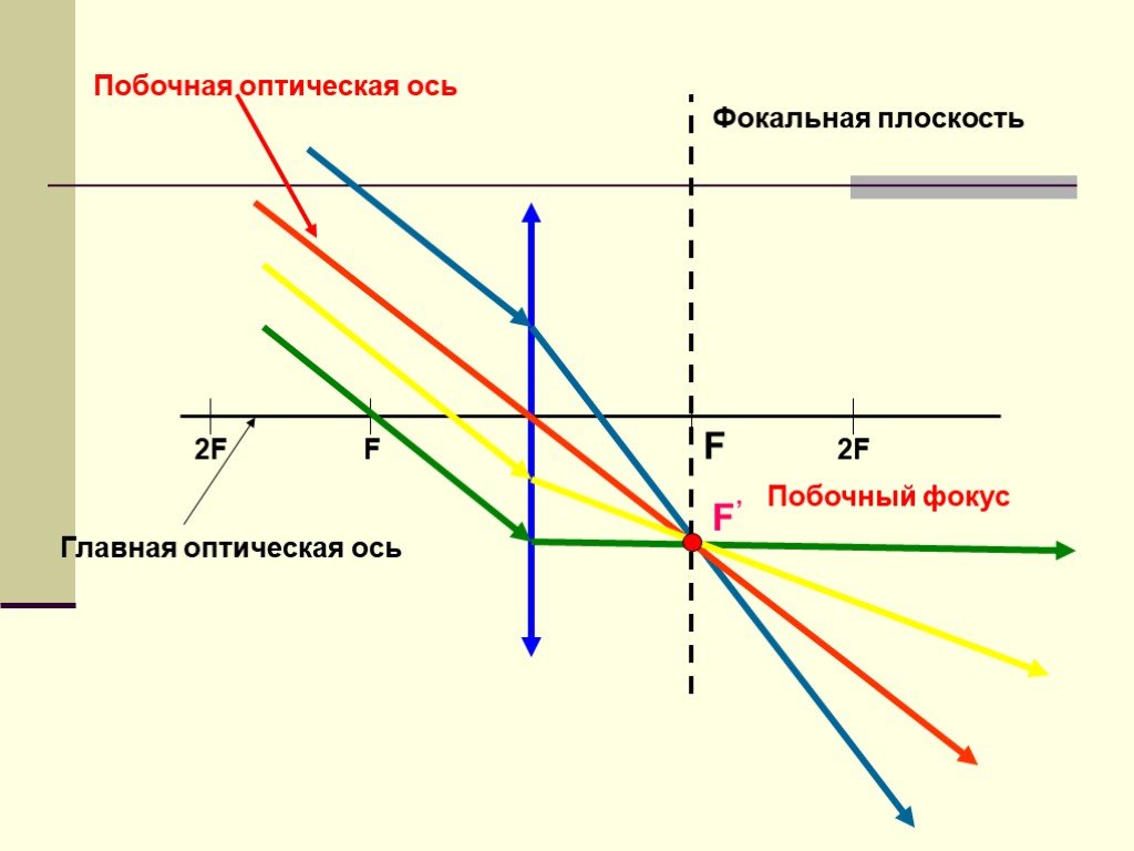 Фокальная плоскость. Побочная оптическая ось оптическая. Фокальная плоскость и побочные оптические оси. – Побочную оптическую ось; – побочный фокус. Фокус Главная оптическая ось фокальная ось.