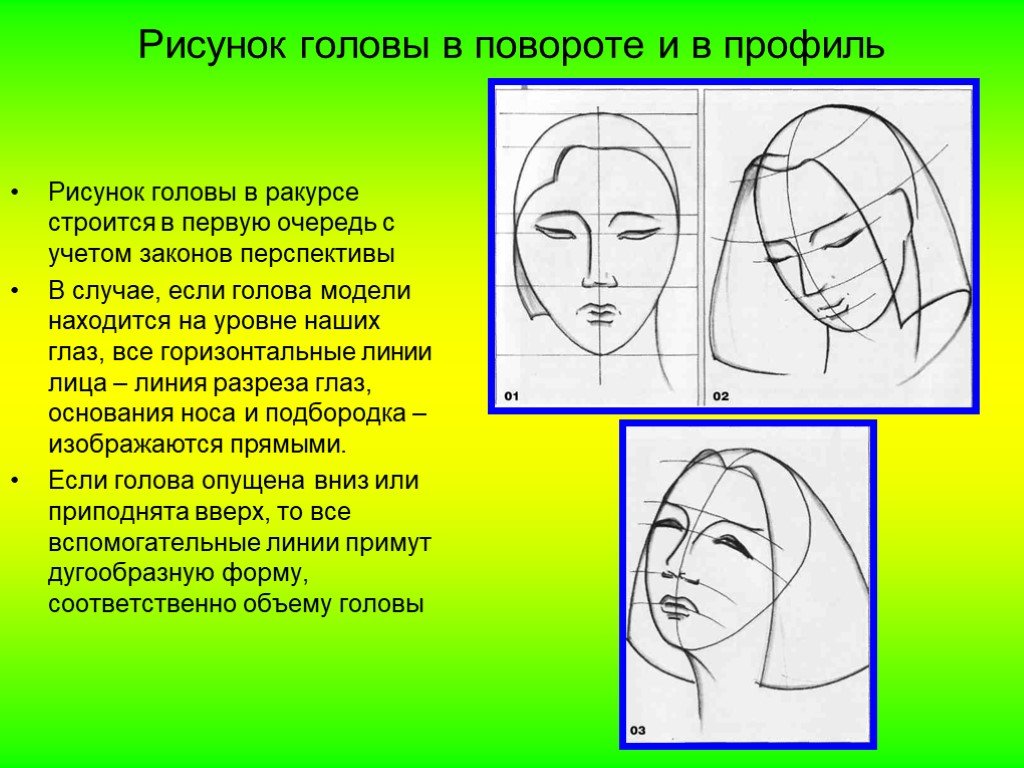 Портрет человека презентация 3 класс. Пропорции лица для рисования. Рисование головы человека в пространстве. Пропорции головы человека рисунок. Изображение головы человека в пространстве рисунок.