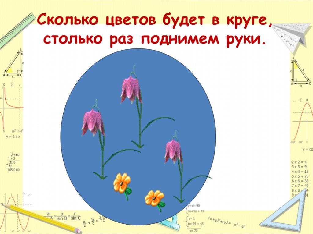 Сколько цветочков поместится. Сколько цветочков сколько растений. Сколько цветов есть. Сколько сколько цветов на земле. Сколько цветов будет.