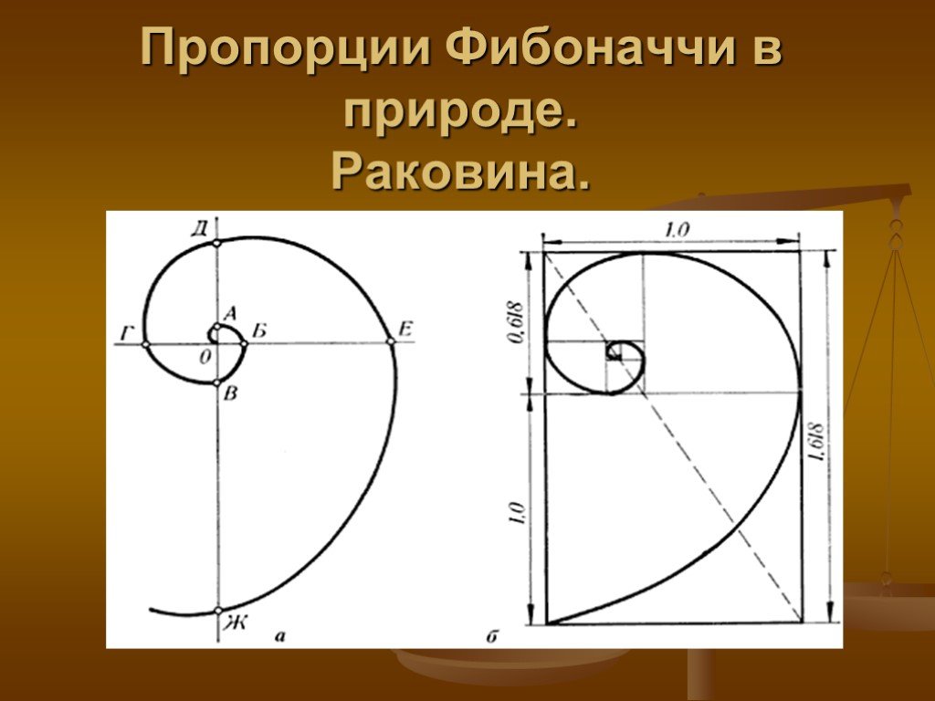 Циркуль фибоначчи чертеж и размеры