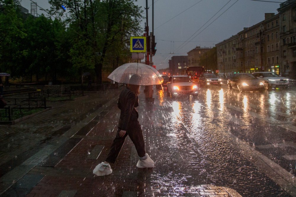 Фото дождливой погоды весной