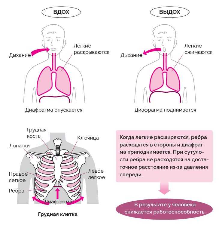 Диафрагмальное дыхание для детей картинки