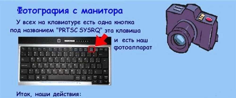 Как на ноутбуке скопировать и вставить картинку