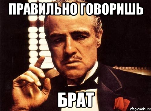 Сказал как отрезал. Точно сказано. Правильно говоришь правильно. Верно говоришь. Говорим правильно.