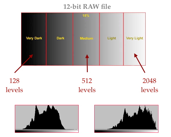 Что такое raw. Raw Формат изображения. 16 Бит Raw. Размеры фотографий Raw. Raw файл схематично выглядит как.