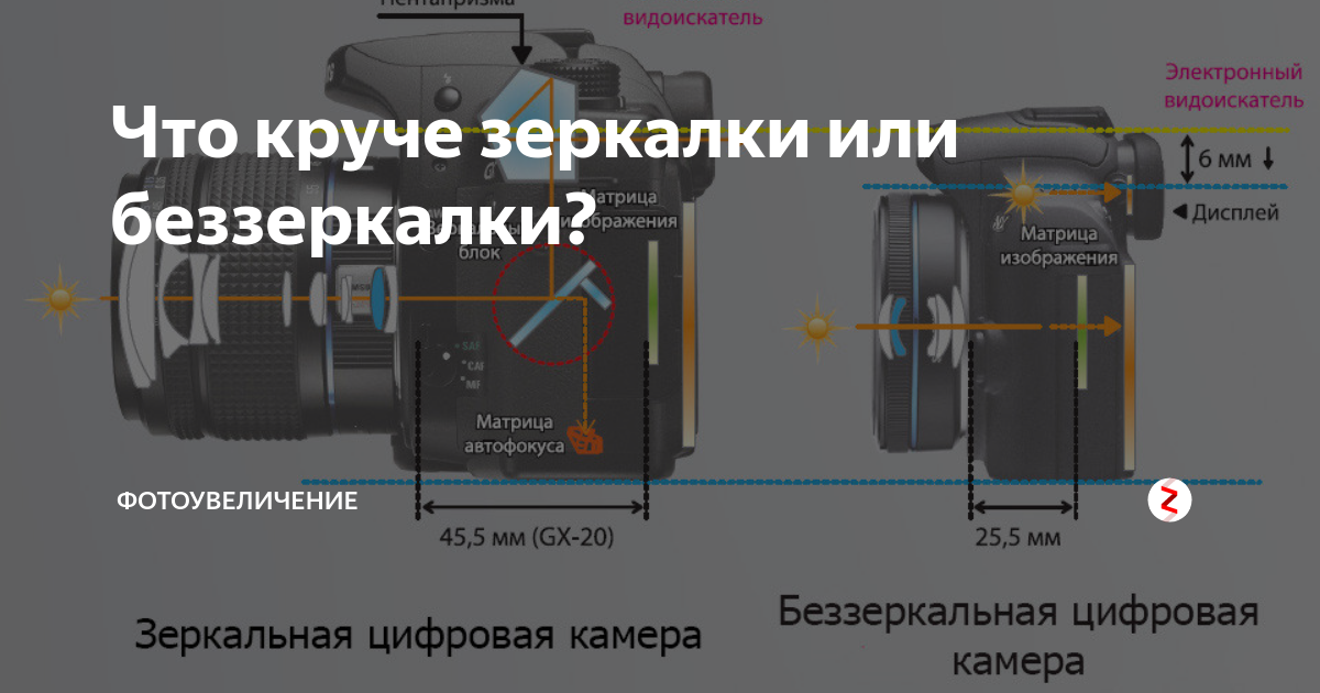 Чем отличается зеркальная камера. Зеркалка от беззеркалки отличия. Отличие зеркального фотоаппарата от беззеркального. Разница зеркального и беззеркального фотоаппарата. Отличие зеркальной камеры от беззеркальной.