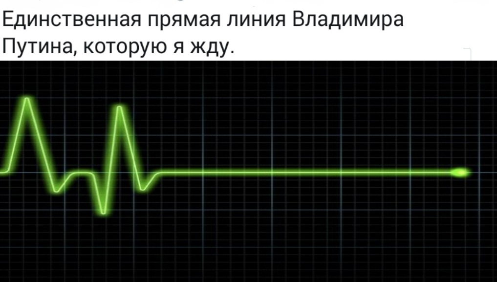 Прямая линия белгородской области. Прямая линия. Прямая линия Путина кардиограмма. Прямая линия которую мы ждем. Прямая линия с Путиным кардиограмма.
