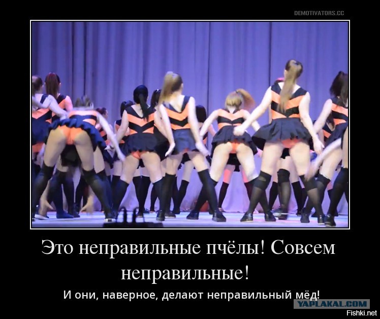 Картинка неправильные пчелы