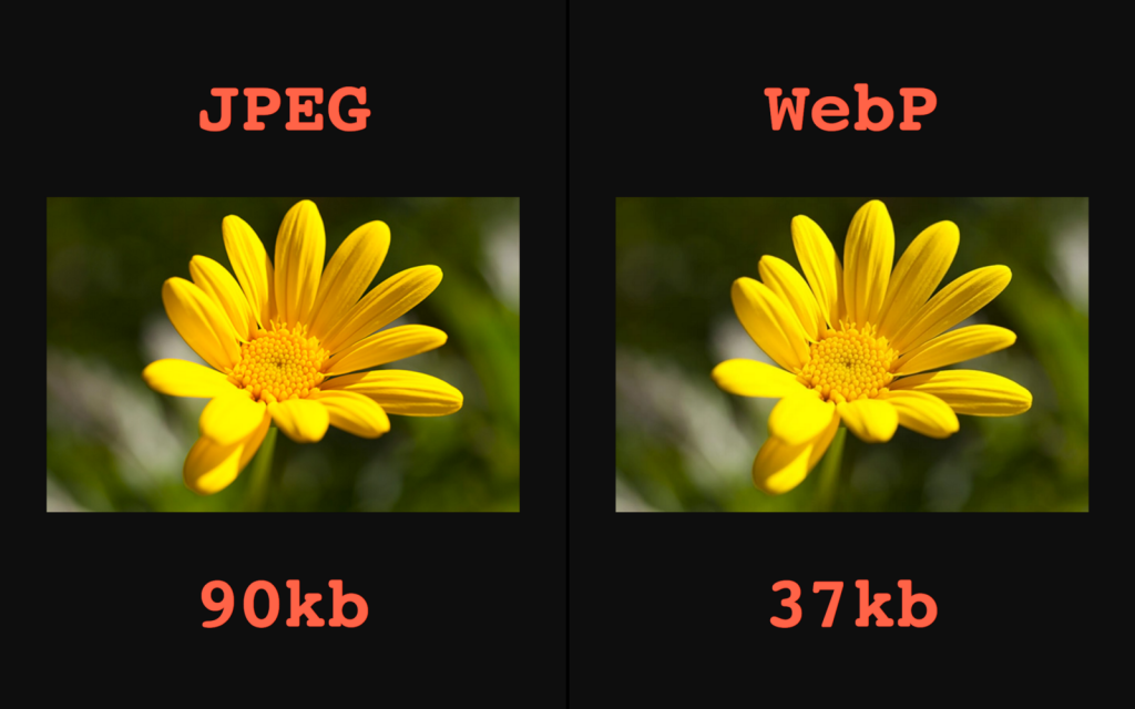 Что такое формат jpg. Webp. Webp картинки. Формат webp. Изображение в формате jpeg.