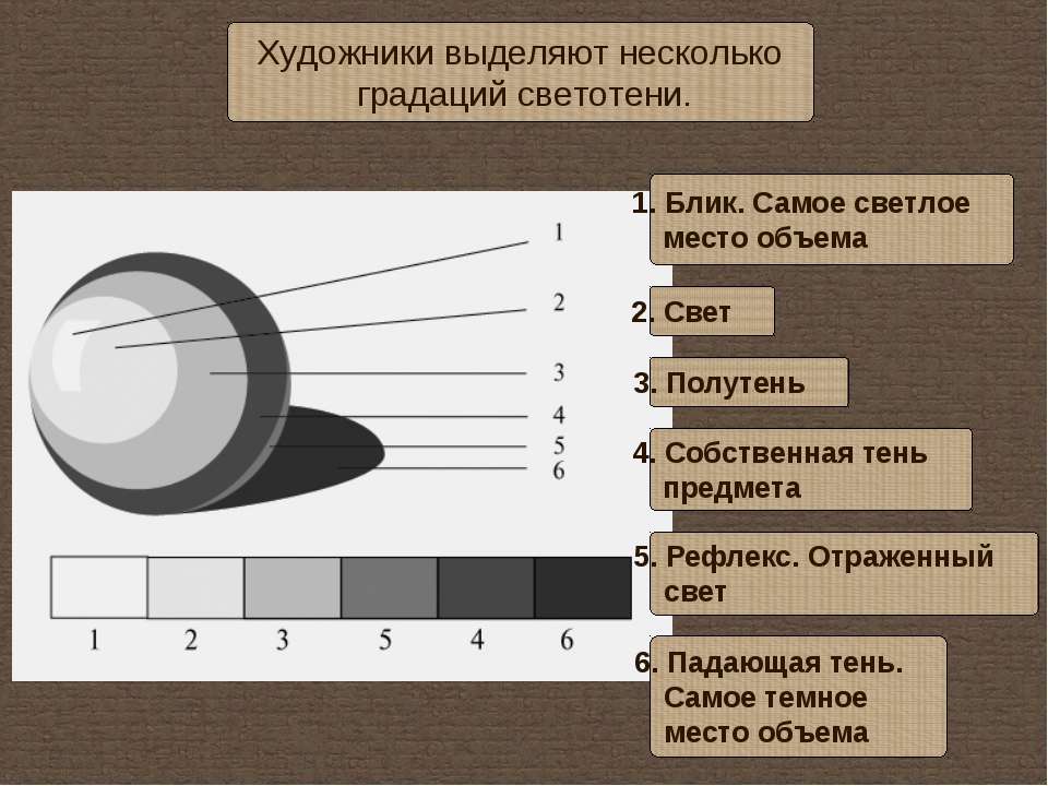 Шкала фон лушана