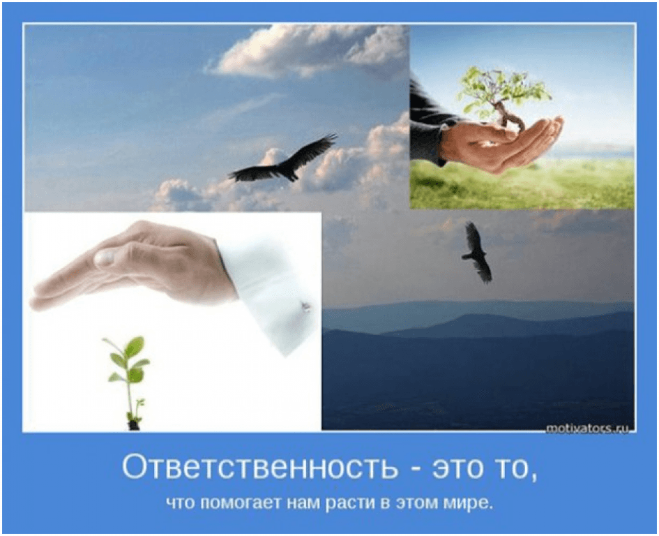 Ответственность в картинках