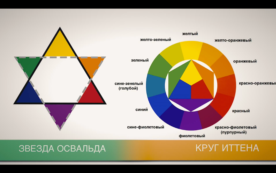 Красный оранжевый желтый зеленый голубой синий фиолетовый. Звезда Освальда колористика для парикмахера. Цветовой круг звезда Освальда. Теория цвета звезда Освальда цветовой круг. Цветовой круг Освальда колористика.