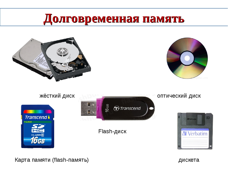 Жесткий диск flash память компакт диск процессор