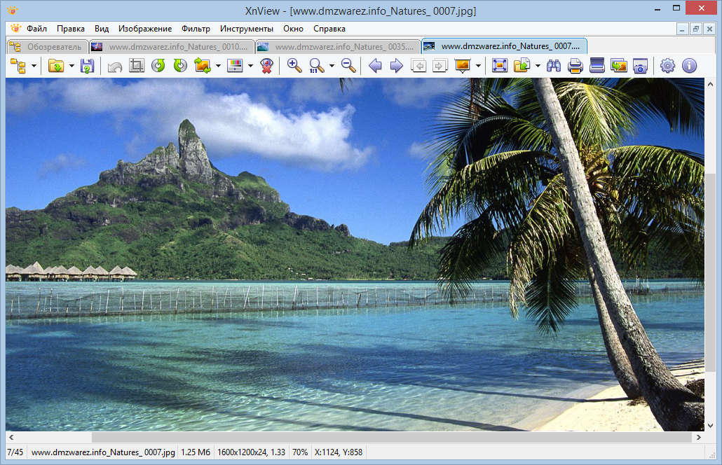 Просмотр 7 изображений. XNVIEW. Фоторедактор XNVIEW. Картинки в формате джипег. Ярлык XNVIEW.