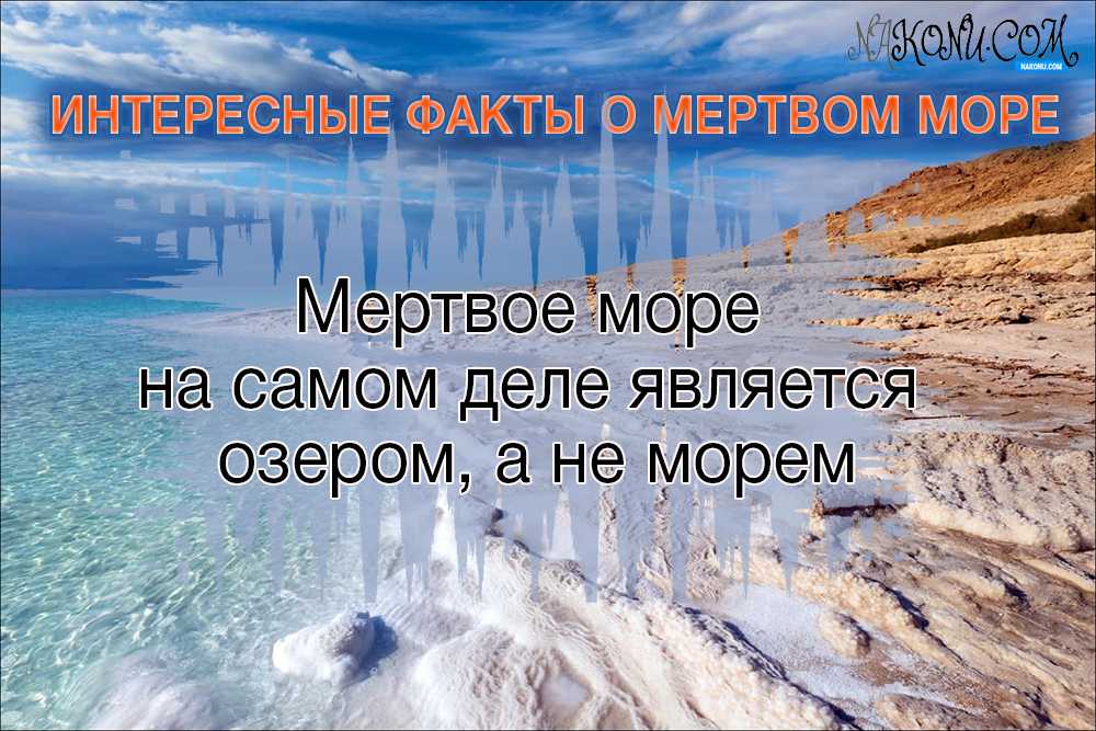 Объяснить море. Интересные факты о море. Мертвое море факты. Интересные факты о Мертвом море. Интересные факты о Мертвом море для детей.