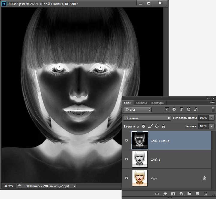 Инвертирование. Инвертирование фотошоп. Инверсия в фотошопе. Инверсия фото.
