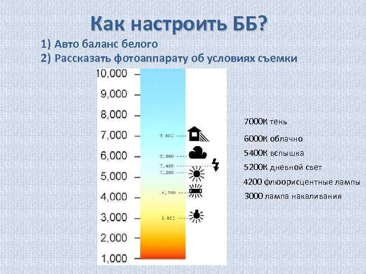 Сколько Белого Цвета