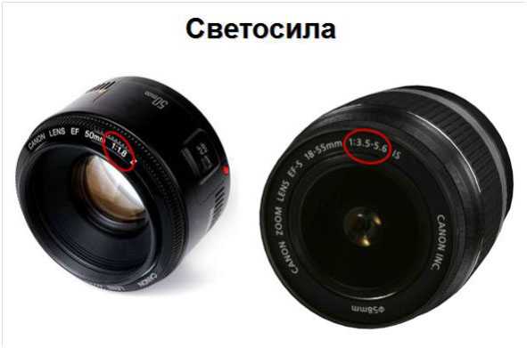 Что значит lens. Что такое Светосила объектива в фотоаппарате. Диафрагма и Светосила. Относительное отверстие объектива и диафрагма. Светосила фотоаппарата.