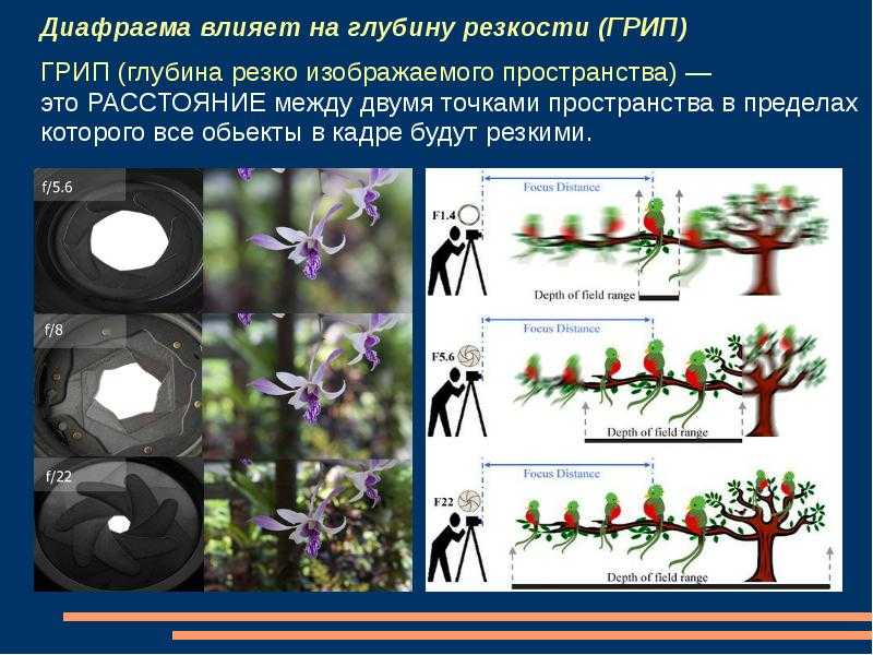 Что влияет на резкость фотографии