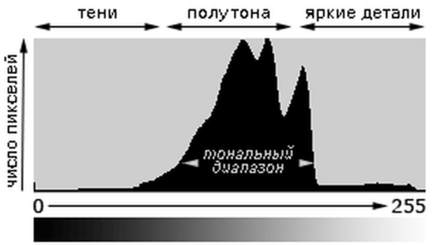 Гистограмма в фото это