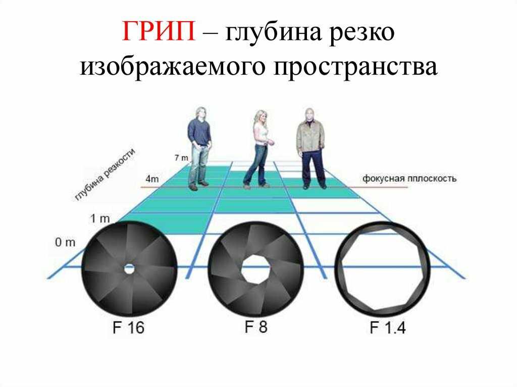 Где происходит фокусировка изображения у людей