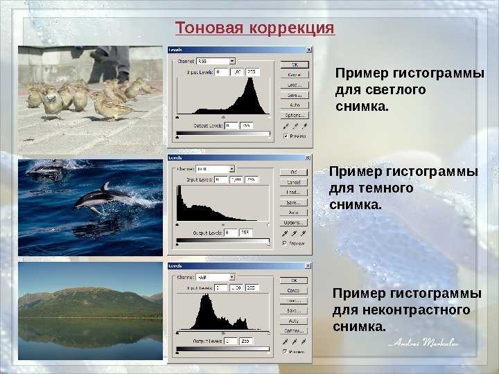 Гистограмма в фотографии что это