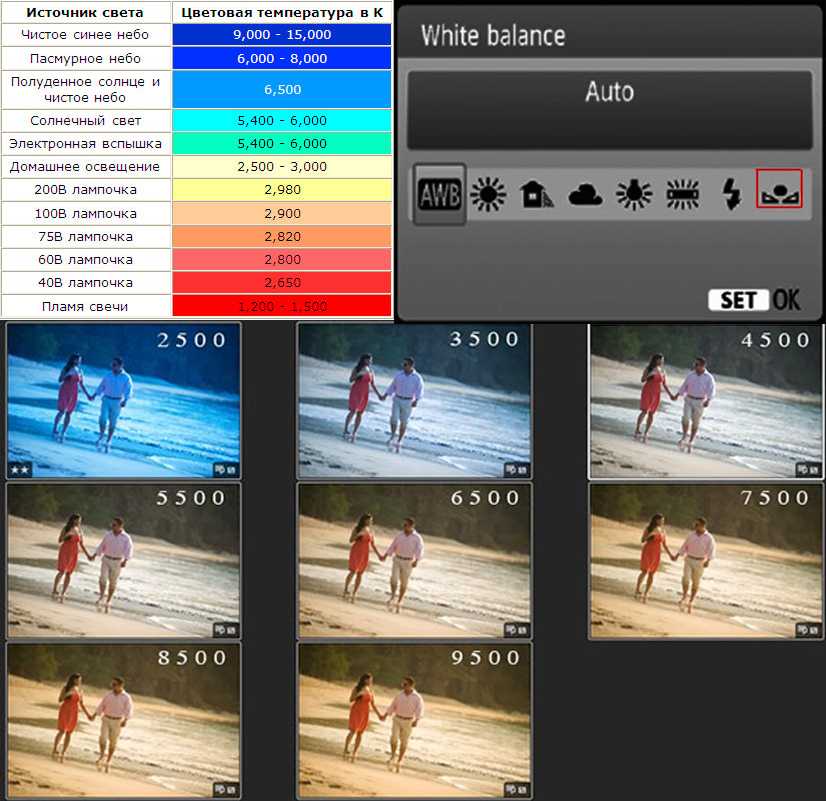 Ручной баланс белого. Баланс белого в фотоаппарате. Баланс белого примеры. Баланс белого шпаргалка. Шкала баланса белого.