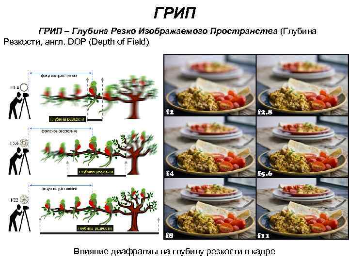 Грип в фотографии что это