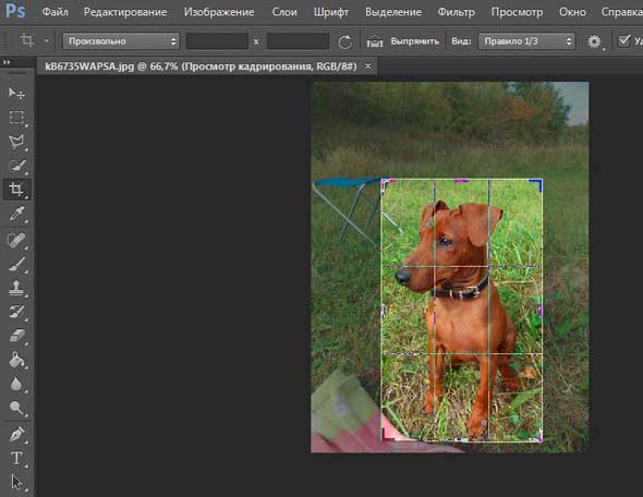 Как кадрировать изображение в фотошопе