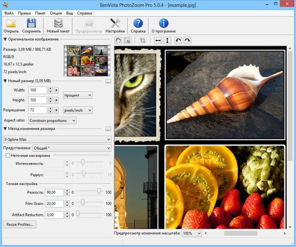 Программа для увеличения картинок. Программа для увеличения качества изображения. Benvista PHOTOZOOM Pro. Программа для увеличения фото.