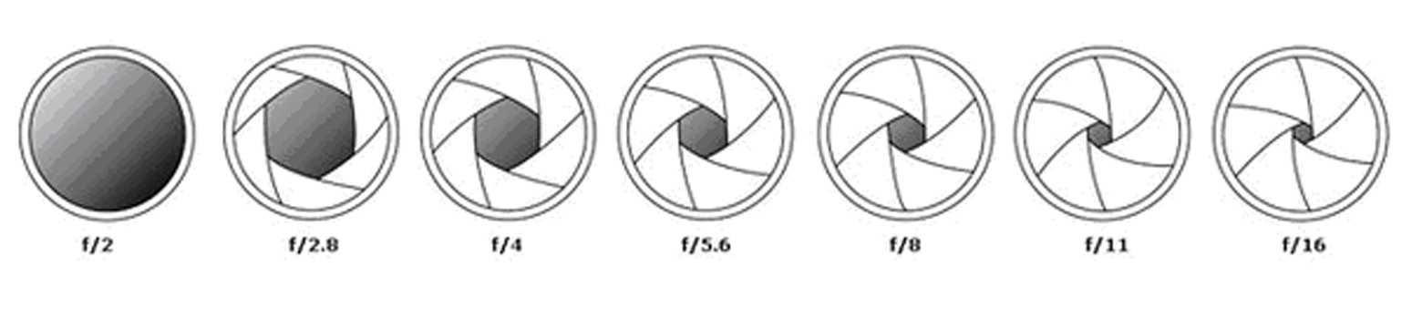 Диафрагма 1 4. Светосила объектива схема. Диафрагма видеокамеры схема. Диафрагма в цифровом фотоаппарате. Диафрагма фотоаппарата схема строения.
