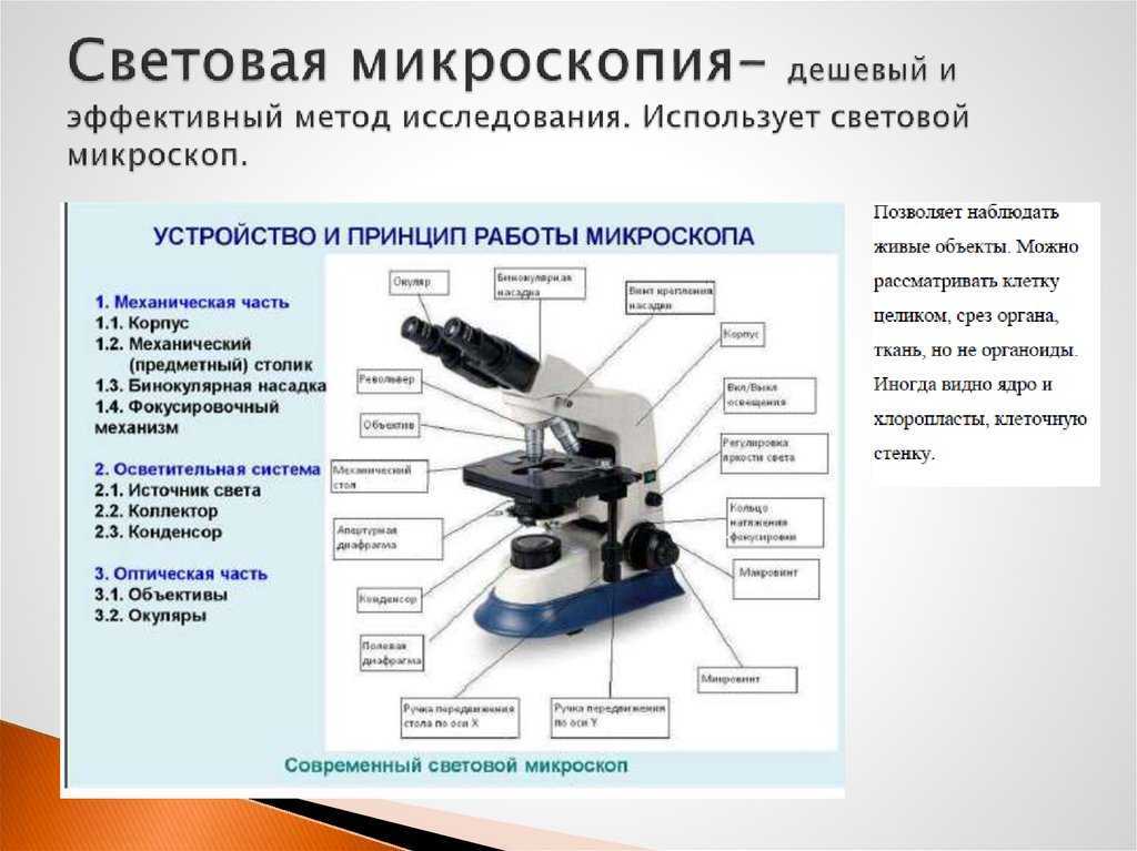 В методе темного поля микроскопии изображение объекта получается