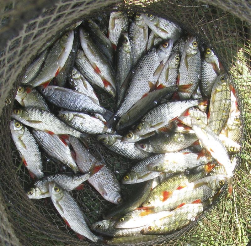 Места рыбалки для улова