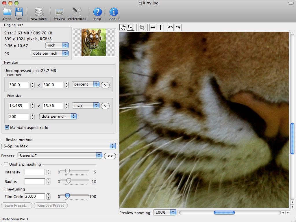Увеличить картинку. PHOTOZOOM Pro. Benvista PHOTOZOOM Classic 8. PHOTOZOOM 7 Classic. Увеличить фото без потери качества кот.