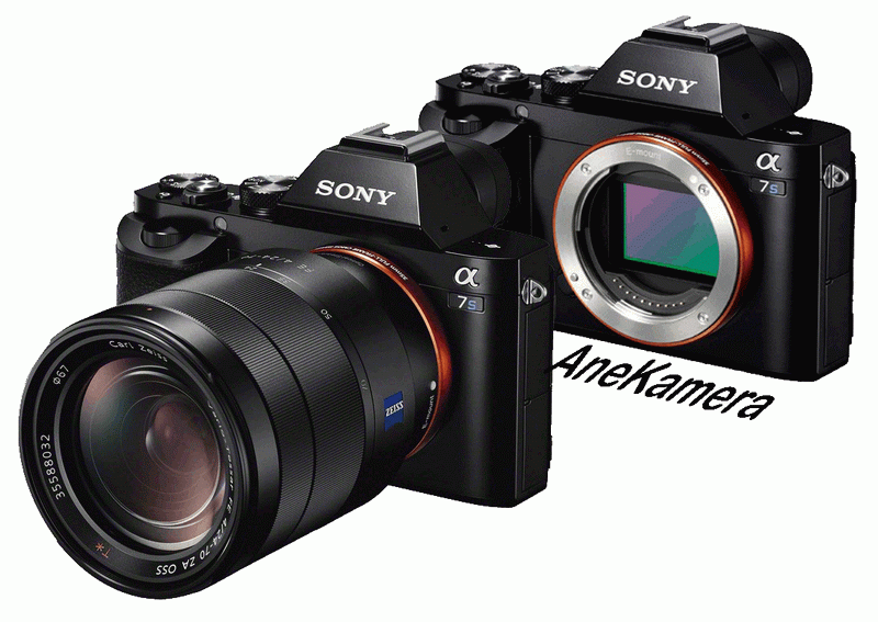 Sony frame