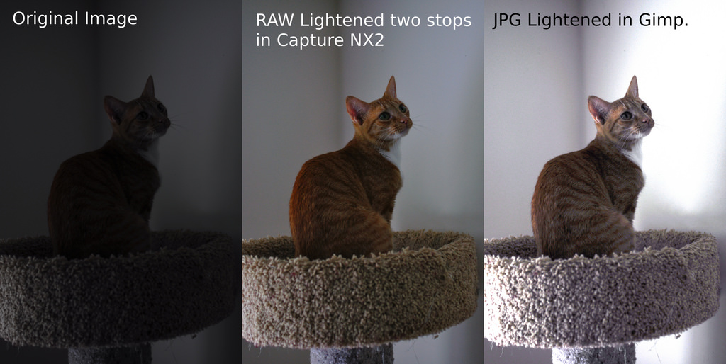 Чем отличается jpg от jpeg. Raw vs jpeg. Raw и jpeg сравнение. Отличие jpg от jpeg. Чем отличается jpeg от jpg Формат.