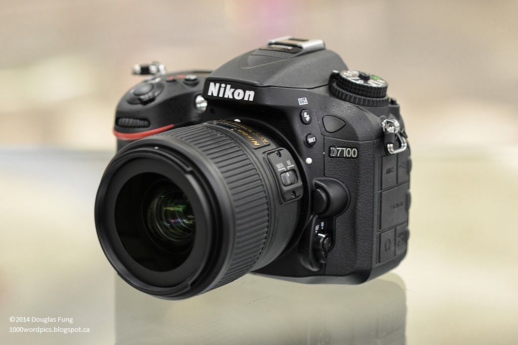 Nikon d70. Nikon d3600. Nikon d50. Nikon d50 body. Никон 310000.