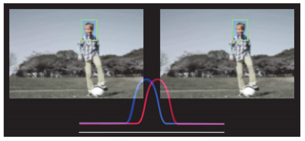 Разница сигналов с двух фотодиодов определяет направление смещения линз объектива
