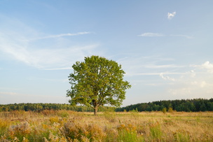 Снимок сделан с фильтром B+W Circular Polarizer MRC