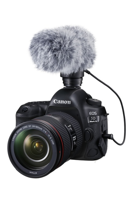 Расположение точек автофокуса в видоискателе Canon EOS 5D Mark IV