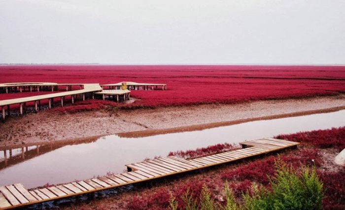 Самые невероятные места на Земле (34 фото)