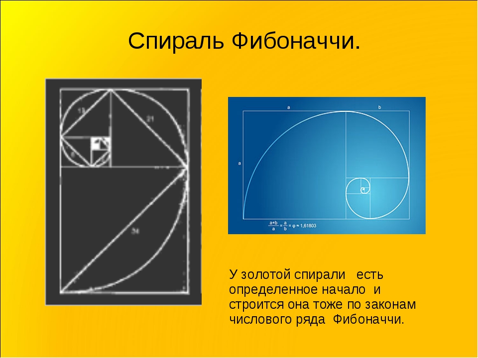 Золотая спираль в картинах