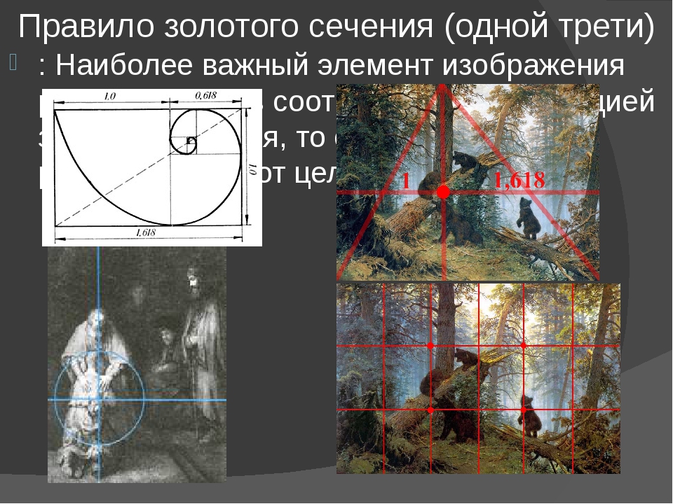 Правило фибоначчи в фотографии