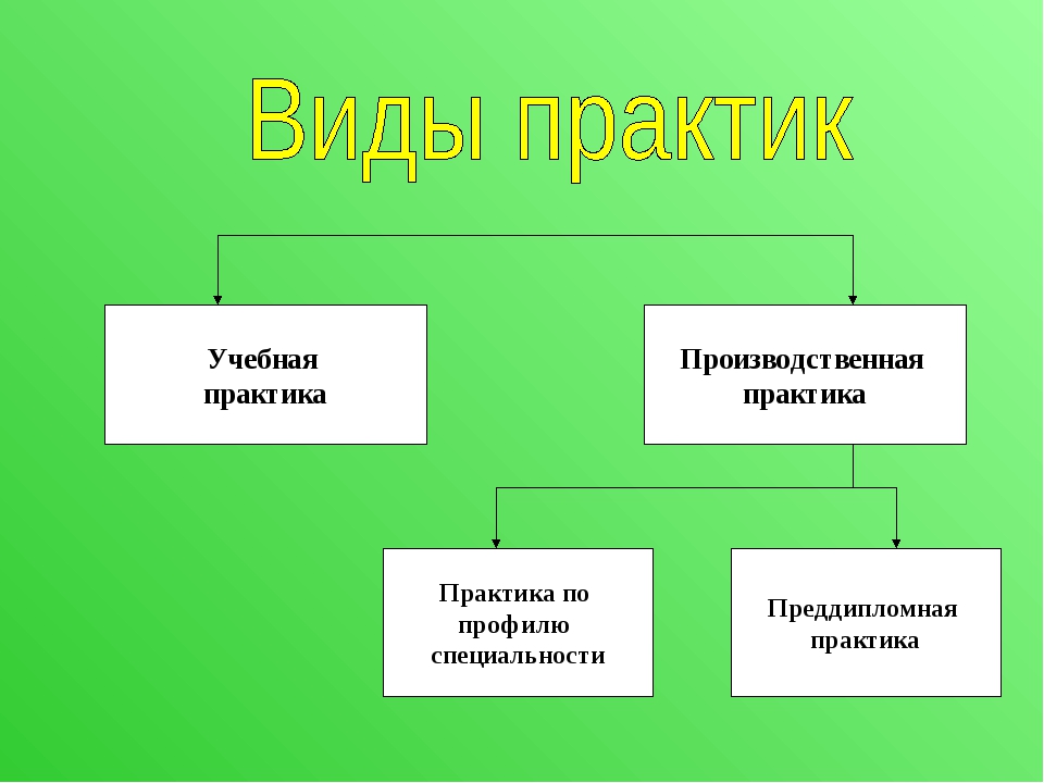 Тип практики. Виды производственных Практик. Виды Практик. Учебная практика картинки. Учебная практика и виды Практик.