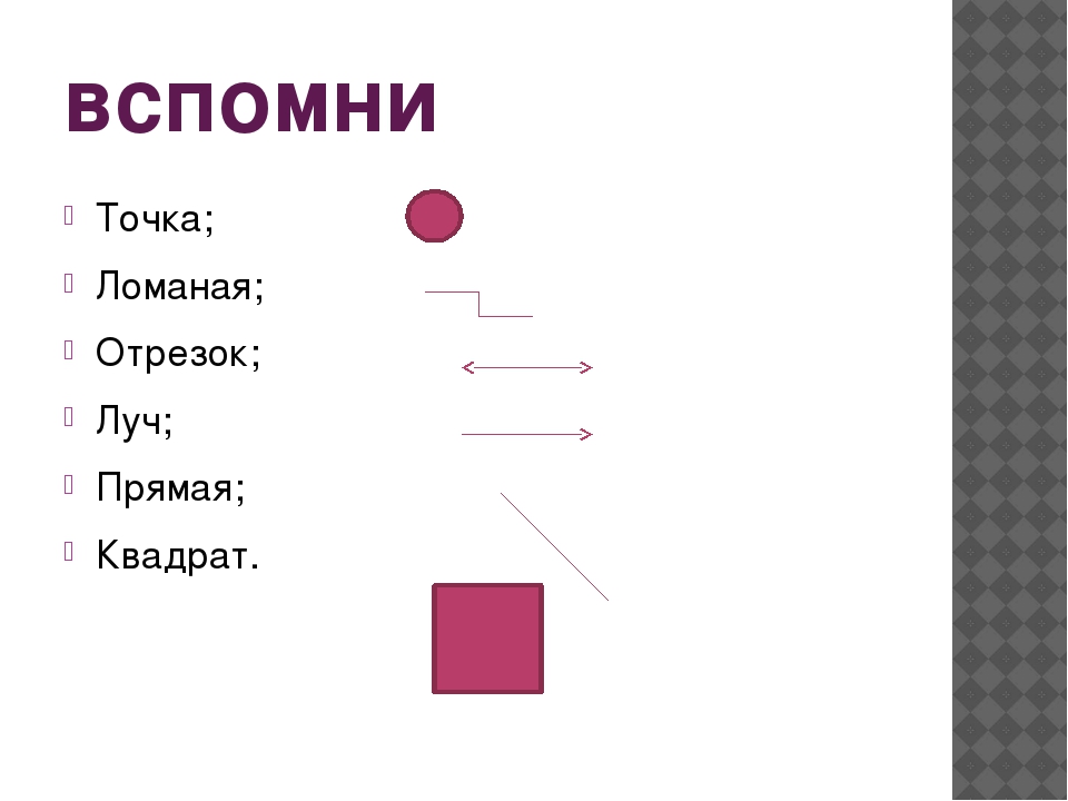 Прямая отрезок ломаная 1 класс презентация