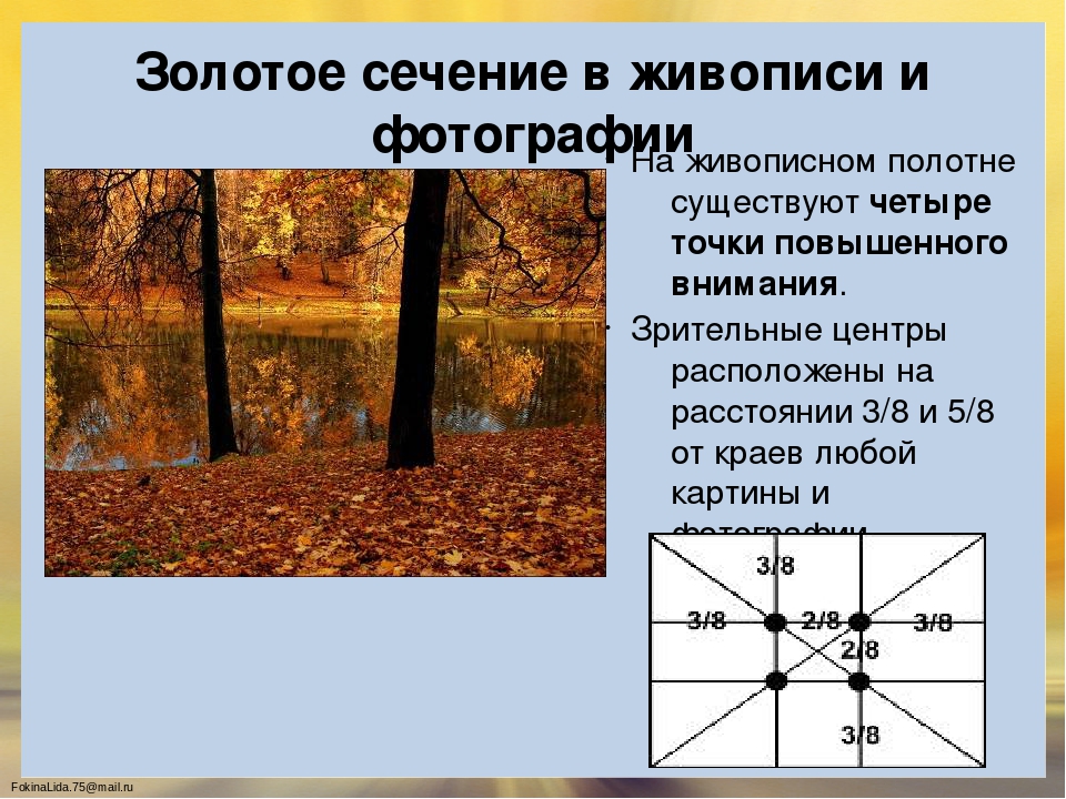 Золотое сечение проект