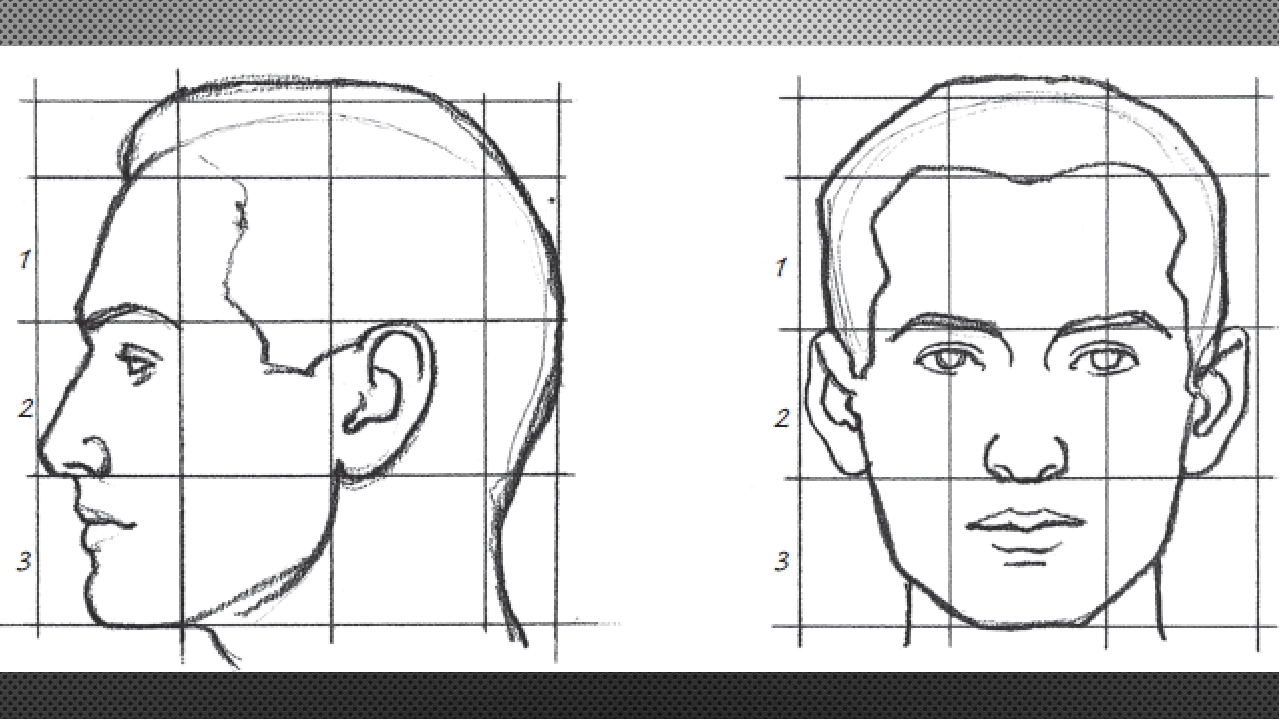 Лицо рисунок схема. Пропорции портрета человека профиль. Пропорции лица человека ФАС профиль. Пропорции портретов сбоку. Рисунок головы человека в ФАС И профиль.