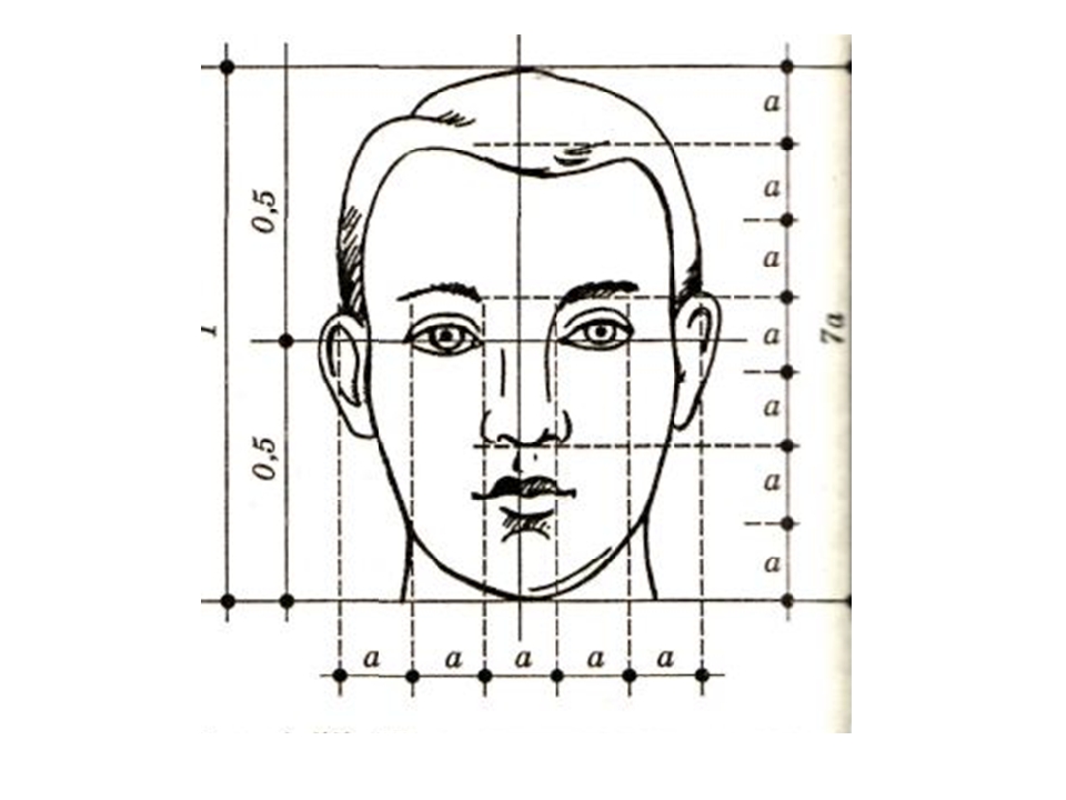 Рисунок портрет схема