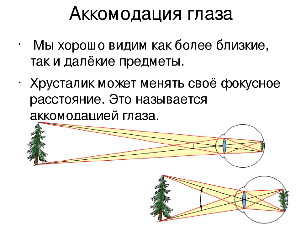 При рассматривании предмета на далеком расстоянии четкое изображение на сетчатке глаза не возникает