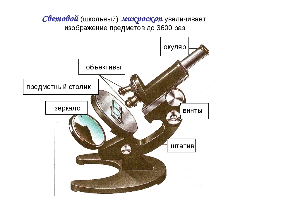 Рассмотрите изображение штативной лупы что обозначено на рисунке буквой а